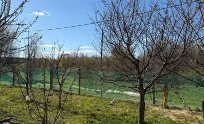  3-этаж.(331 м2), Ефимово(Каштановая ул., 4)