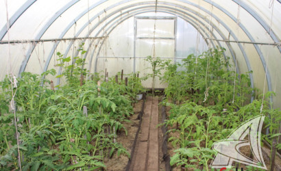 Купить дом, Брест, Мухавецкий с/с, 7.64 соток. Фото 17