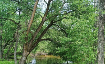 Купить дом, Пильница, Центральная ул., 25 соток. Фото 10