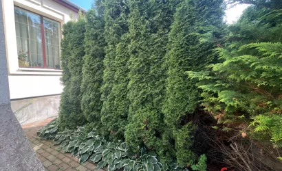  Купить коттедж