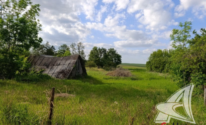Купить дом, Блювиничи, Чернавчицкий с/с, 25 соток. Фото 21