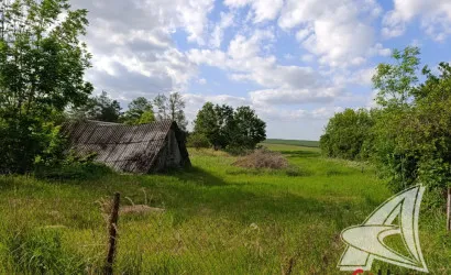  1-этаж.(46.7 м2), Блювиничи(Чернавчицкий с/с)