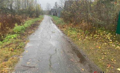 Купить дом, Борки, Набережная ул., 16.38 соток. Фото 13