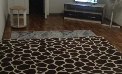 Снять 1-комнатную квартиру на сутки, Пинск, Шапошника  30