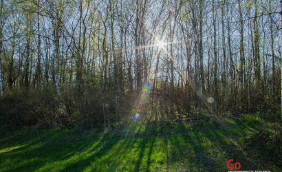 Купить дом в деревне, Эликсир-К, 5.3 соток. Фото 9