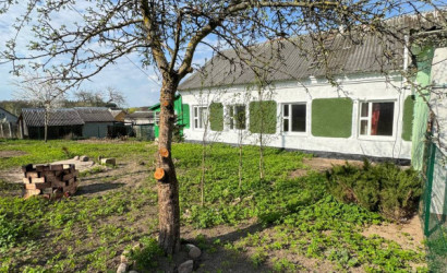 Купить 2-комнатную квартиру, Вишневка, центральная 17. Фото 1