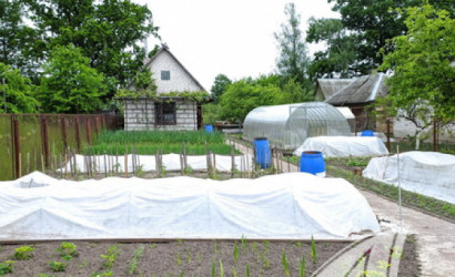 Купить дом, Брест, Козловичи, 12.72 соток. Фото 37