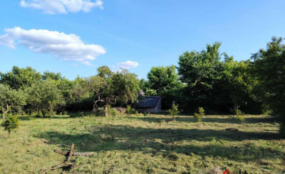 Купить дом, Чемери 1, 50 соток. Фото 10