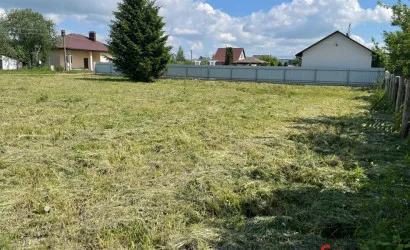  Фаниполь(55)