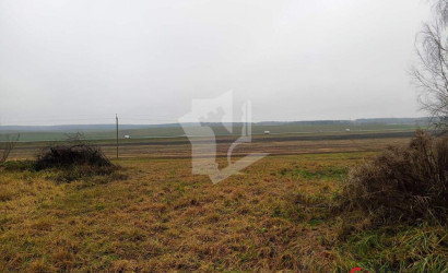 Купить дом, Липки, 14.6 соток. Фото 7