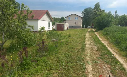  Рыжики(центральная)