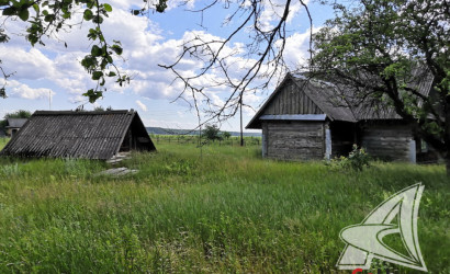 Купить дом в деревне, Рожковка, Дмитровичский с/с, 25 соток. Фото 18