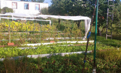 Купить участок, СВЯЗИСТ-92, 8.03 соток. Фото 3