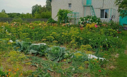 Купить дом, Свислочь, Клименко ул., 24.93 соток. Фото 8