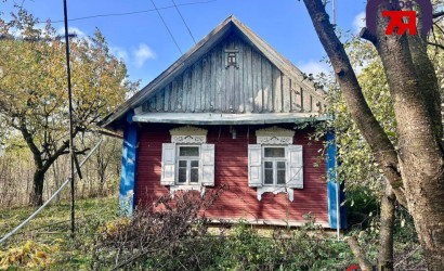 Купить дом, Чаплицы, Чкалова ул., 25 соток. Фото 6