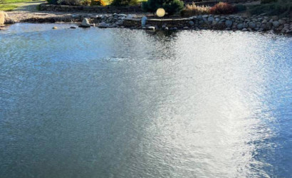 Снять на сутки коттедж, Дорожный, 53. Фото 5