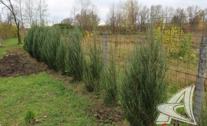 Купить дом, Залесье, Чернинский с/с, 14.97 соток. Фото 18