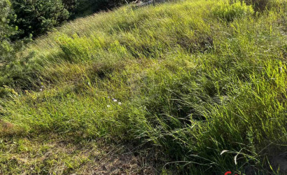 Купить участок, Подигрушье, 6.7 соток. Фото 4