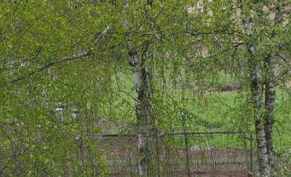 Купить 3-комнатную квартиру, Городок, Юбилейная. Фото 8