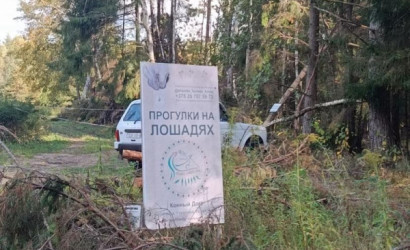 Купить дом в деревне, Принта-Дружба, 4 соток. Фото 20
