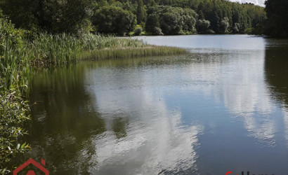 Купить участок, Мончаки, Центральная, 39, 24.92 соток. Фото 19