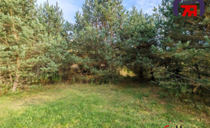 Купить дом, Королев Стан, Сосновая ул., 15.98 соток. Фото 44