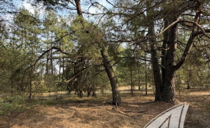 Купить участок, Дубица, Домачевский с/с, 24.9 соток. Фото 14