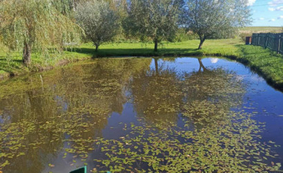 Купить дом, Городок, 24.86 соток. Фото 6