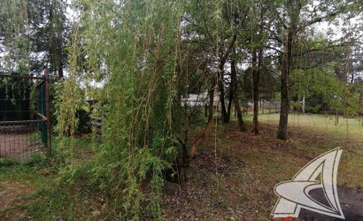 Купить дом, Непли, Клейниковский с/с, 23.84 соток. Фото 34