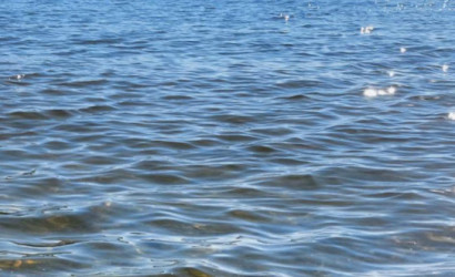 Купить дачу, Приозерное, 5 соток. Фото 16