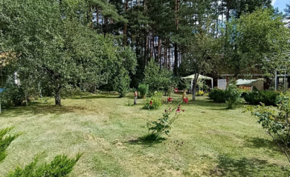 Купить дачу, Таль, 7 соток. Фото 30