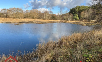 Купить участок, Приселки, 25 соток. Фото 35