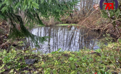 Купить дом в деревне, Трактор-Колоницы, 11 соток. Фото 22