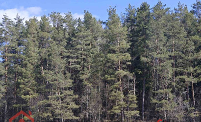 Купить участок, Вяча, Лесная, 20.07 соток. Фото 8