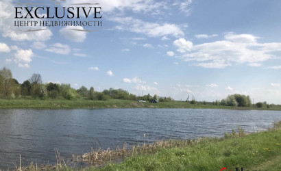 Купить дом, Залужье, Центральная ул., 53, 25 соток. Фото 23