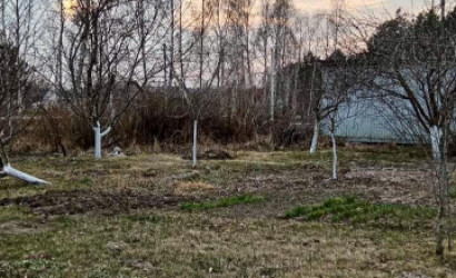 Купить участок, Ветеран-3, 5.05 соток. Фото 4