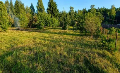  Бибиревка
