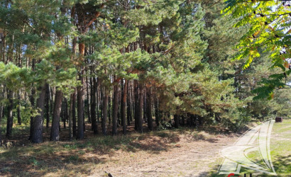 Купить дом, Вулька-Заставская, Мухавецкий с/с, 16.72 соток. Фото 14