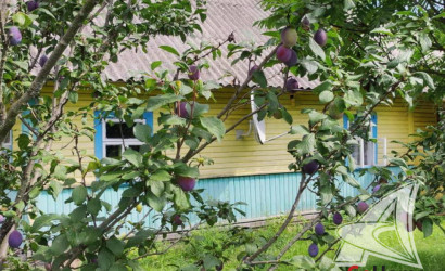 Купить дом, Ланская, Олтушский с/с, 24.82 соток. Фото 10