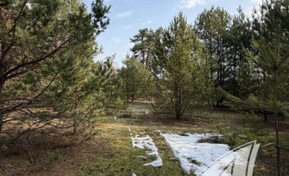 Купить участок, Дубица, Домачевский с/с, 24.9 соток. Фото 8