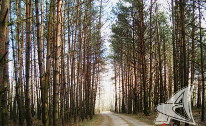 Купить дачу, Брест, Мухавецкий с/с, 4.35 соток. Фото 16