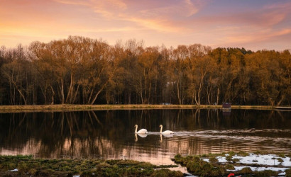 Купить дом в деревне, МЕДИК, 6.22 соток. Фото 2