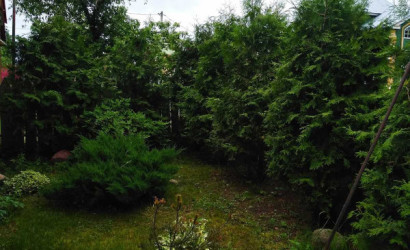 Снять на сутки агроусадьбу, Морино, Центральная,158. Фото 20