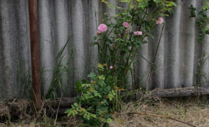 Купить участок, Зябровка, 113, садоводческое товарищество Бытрадиотехника, 7 соток. Фото 7