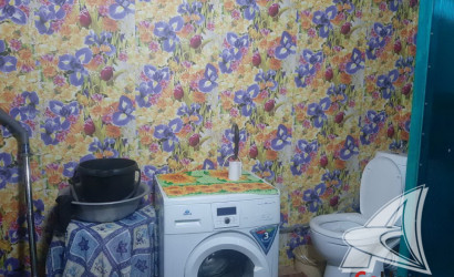 Купить дом, Малые Зводы, Лыщицкий с/с, 17.3 соток. Фото 8