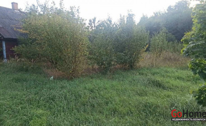 Купить дом в деревне, Дворец, дворец, 38 соток. Фото 1