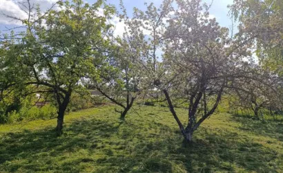  1-этаж.(45 м2), Еськовичи(29)
