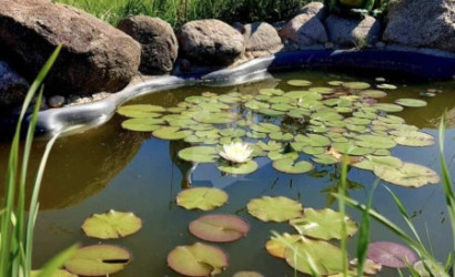 Купить дом, Жилевщина, 43 соток. Фото 14