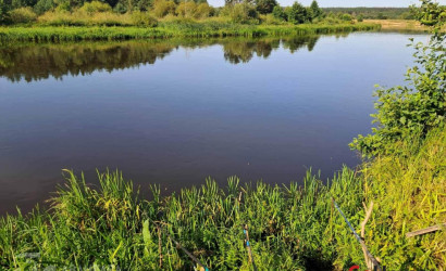 Купить дом, Заблотье, 25 соток. Фото 1