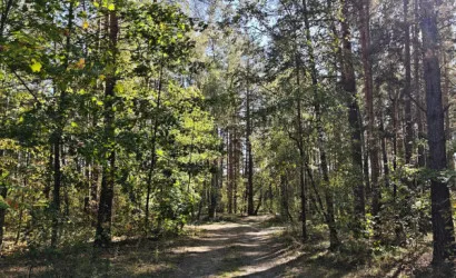  67.2 м2, Калинино